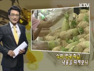 '식비 역대 최고' 내용을 따져보니