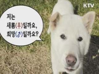 청와대 카카오스토리, '청와대스토리' 공식 오픈