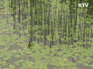 실무접촉 장소 '이견'···"금강산관광과 별개"