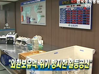 외환보유액, 위기 방지한 일등공신