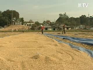 쌀 직불금, 도시민 수령 요건 강화