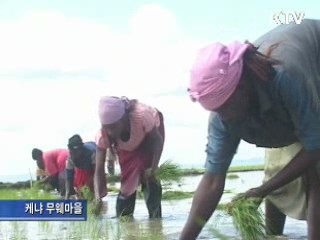 아프리카 국가별 '맞춤형 영농' 전수