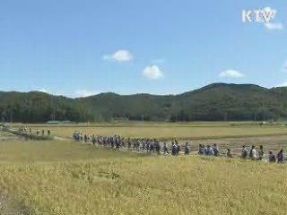 "비무장지대로 트래킹 떠나요"