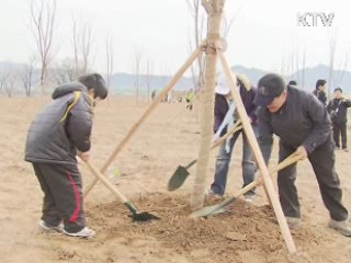 낙동강 '희망의 숲' 조성