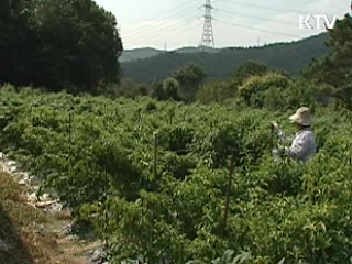 정부 '색깔있는 농어촌마을' 1만곳 육성