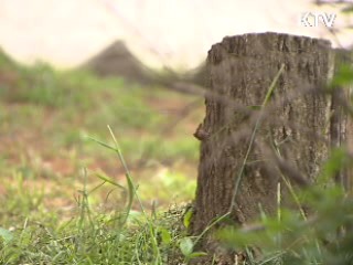 옛 미군기지 철저조사···"부대 배치도 요청"