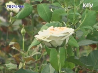 신품종 개발, 농가 로열티 부담 덜어