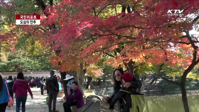 '억새·단풍' 도심에서 가을 즐긴다 [국민리포트]