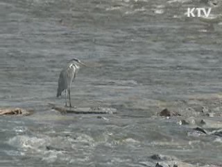 "4대강 살리기, 세계 녹색성장 모델로 공유"