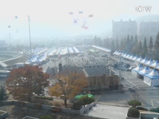 진영 단감축제, "단감 풍년, 축제도 풍성" [시니어 리포트]