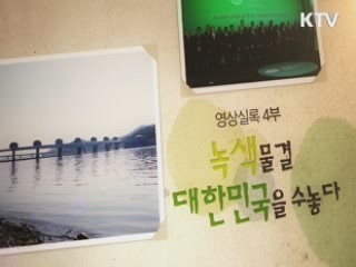 녹색물결 대한민국을 수놓다