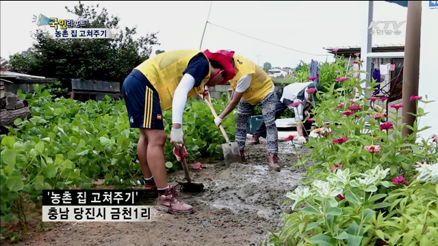 피서 대신 농촌 집 고쳐주는 대학생들