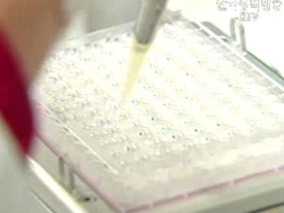 내년부터 생물무기 개발·제조·보유 금지