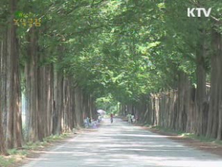 자연과 함게 하는 느림 - 전남 담양