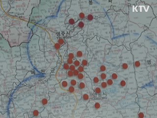 구제역 확산 '주춤'···백신 효과