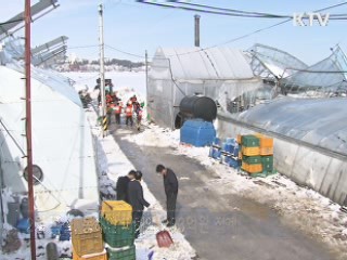 강릉·삼척·울진, '특별재난지역' 선포