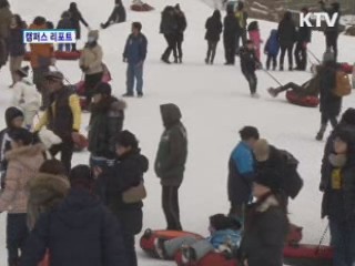 알프스마을 얼음분수축제 '북적'