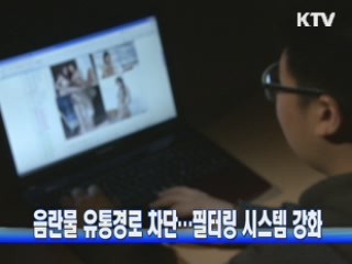 정부, 음란물 유통경로 차단…필터링 시스템 강화