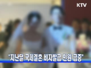 "지난달 국제결혼 비자발급 민원 급증"