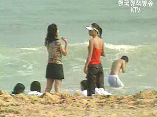 전국 해수욕장 수질 대부분 양호