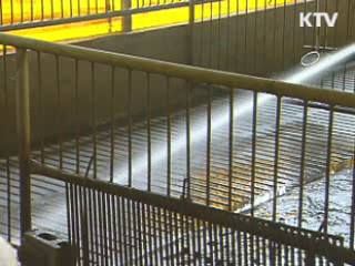 구제역 안심해도 됩니다