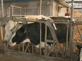 이번 주말 이후 백신효과 기대