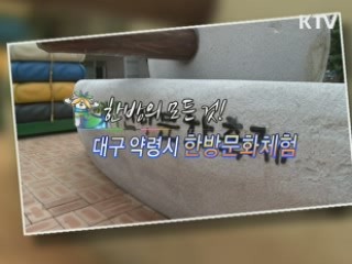 한방의 모든 것 / 대구 약령시 한방문화체험