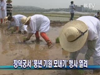 창덕궁서 '풍년 기원 모내기' 행사 열려