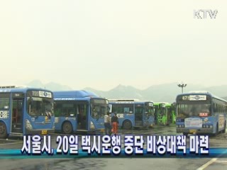 서울시, 20일 택시운행 중단 비상대책 마련