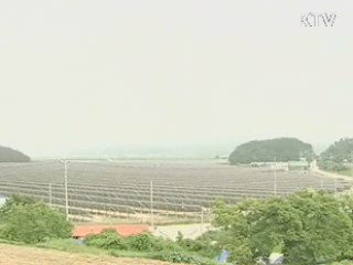 아프리카 등 '녹색 대외원조' 본격화