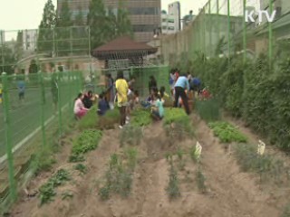 아이들과 함께 텃밭가꾸는 교장선생님