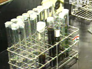 정부, `디지털 영화배우` 기술개발 추진