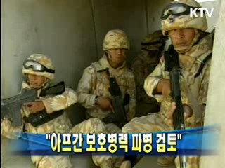 유명환 장관 "아프간 보호병력 파병 검토"