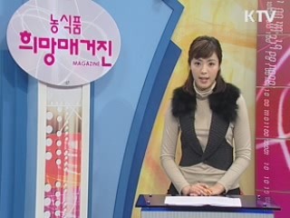 2010년 종자산업 육성 지원 사업