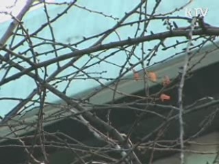 전국 기온 '뚝'…내일 서울 영하 11도