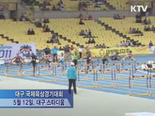 2011 대구 국제육상경기대회 성공적 개최