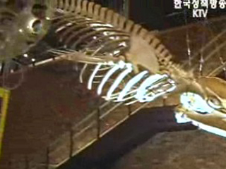 고래의 숨결을 찾아서, 울산 고래박물관 탐방