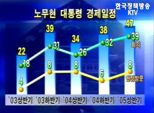 참여정부 선거개혁 아일랜드 사례연구