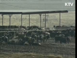 "캐나다 WTO 제소, 적극 대응할 것"