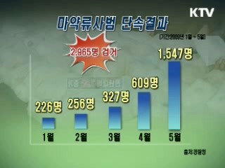 2009년 1~5월 마약류사범 단속결과