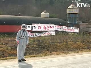 철새도래기, AI 방역 강화