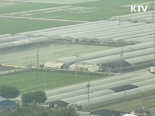 행정구역 통합, 여론조사 실시