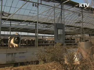 구제역·AI 매몰지 전수조사 실시