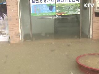 14호 태풍 '덴빈' 5명 사상…이재민 119명