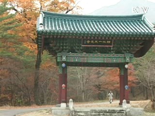 그곳에 가고 싶다