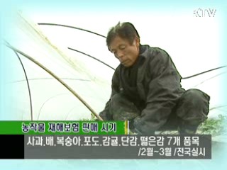 농작물재해보험 확대된다