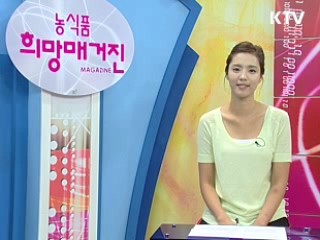 우리 술 산업 경쟁력 강화 방안