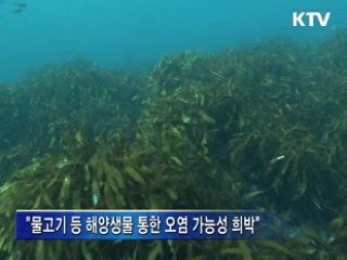 "방사성 물질, 해수 직접 유입 가능성 적어"