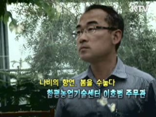 나비의 향연 봄을 수놓다 - 이호범 주무관