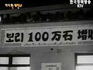 식량 증산(`64)
